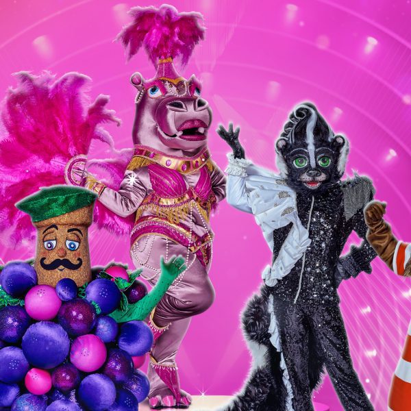 The Masked Singer 2023 deelnemers NLZIET