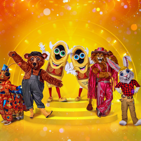 Groep 4 The Masked Singer