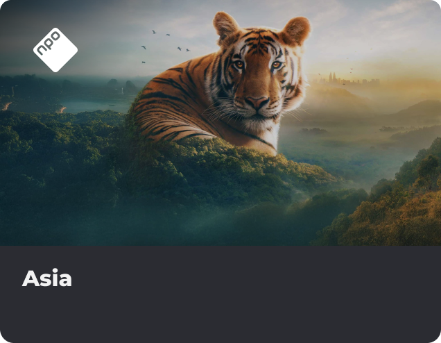 Documentaire Asia NLZIET