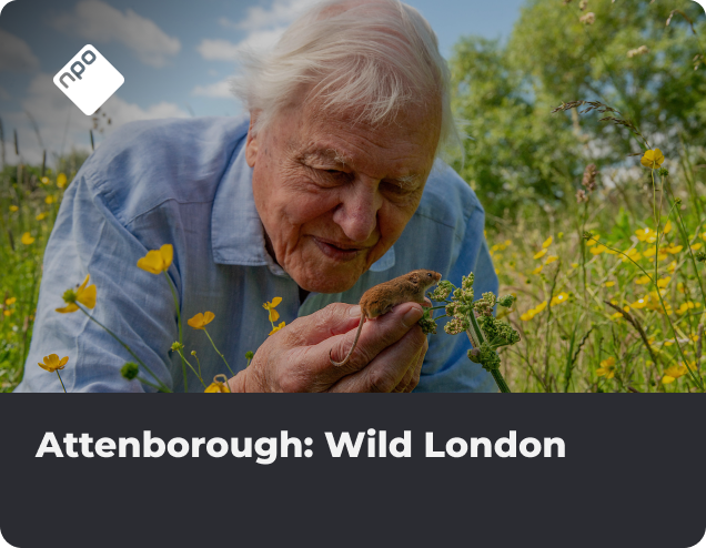 Attenborough: Wild London NLZIET