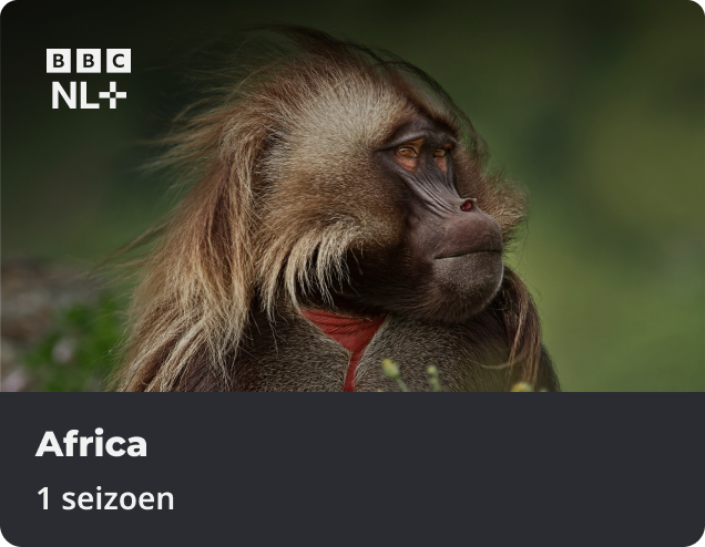 Africa app NLZIET
