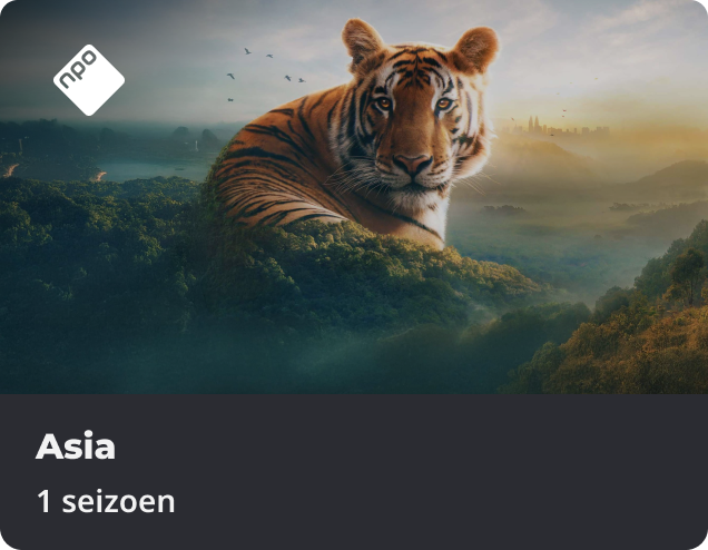 Asia app NLZIET