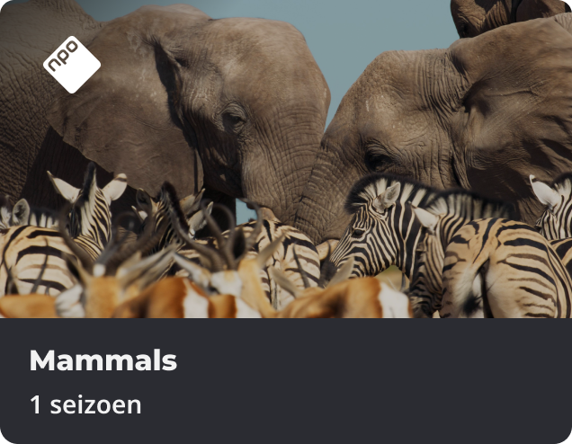 Mammals app NLZIET