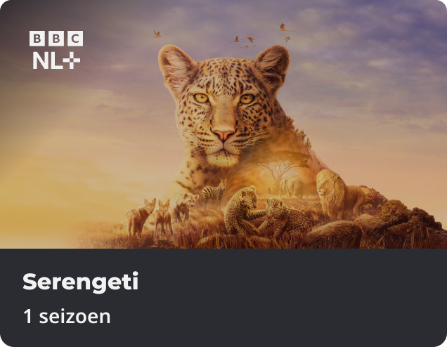 Serengeti app NLZIET