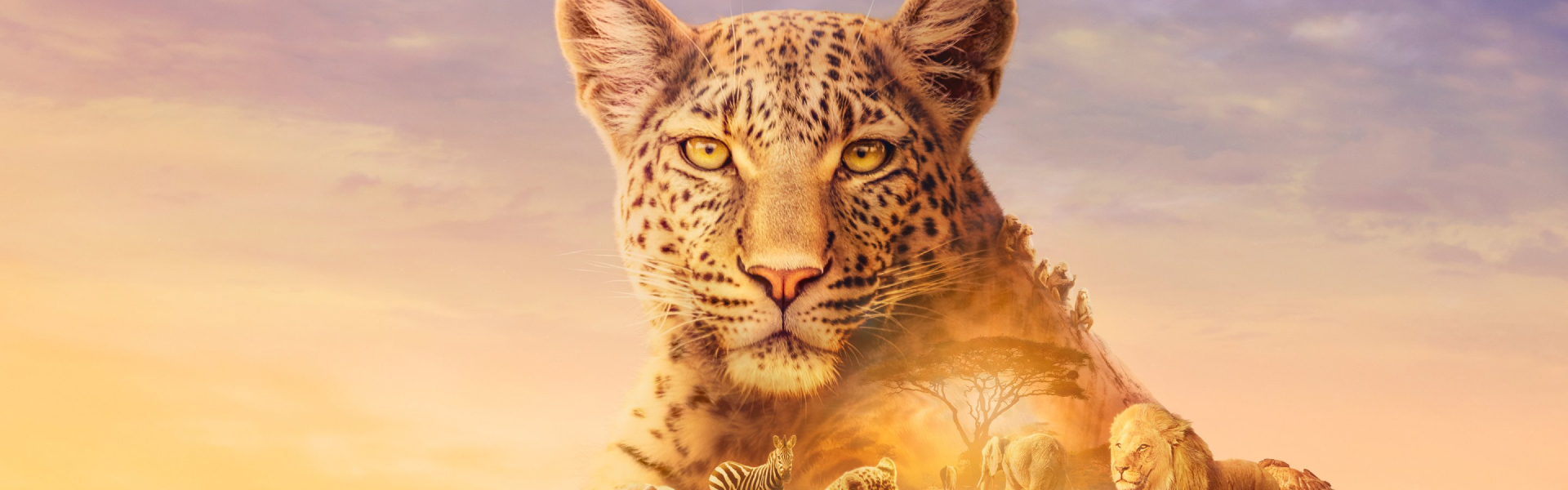 Top 10 natuurdocumentaires bij NLZIET