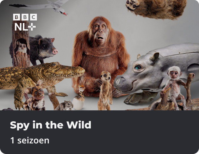 Spy in the Wild app NLZIET