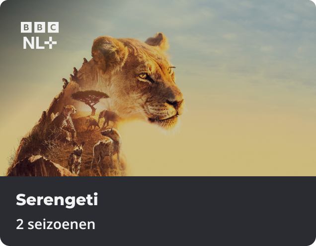 Top 10 Tv series Serengeti