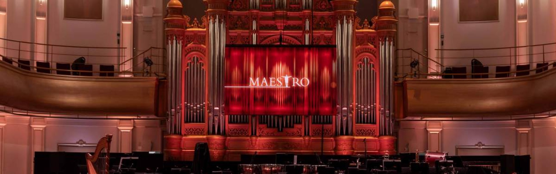 Maestro deelnemers 2025 NLZIET