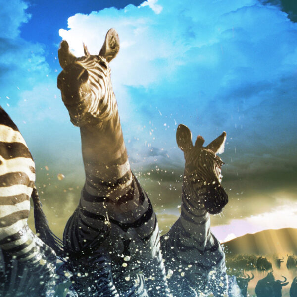 Leukste documentaires bij NLZIET