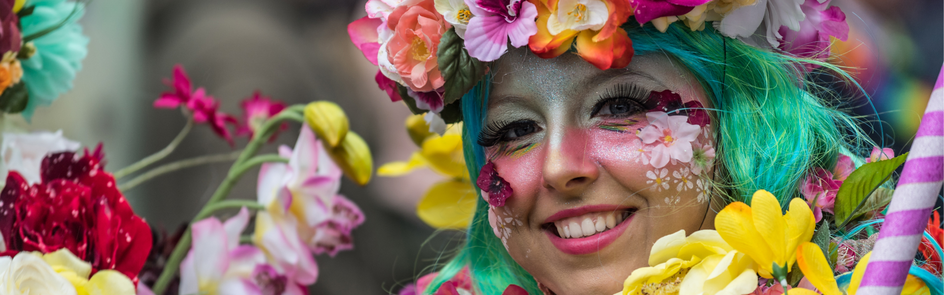 Carnaval op TV NLZIET