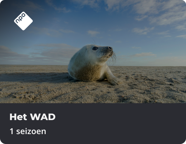 Het WAD app NLZIET