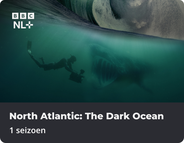 North Atlantic: The Dark Ocean app NLZIET