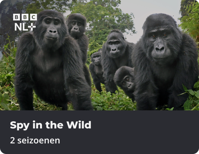 Spy in the Wild app NLZIET
