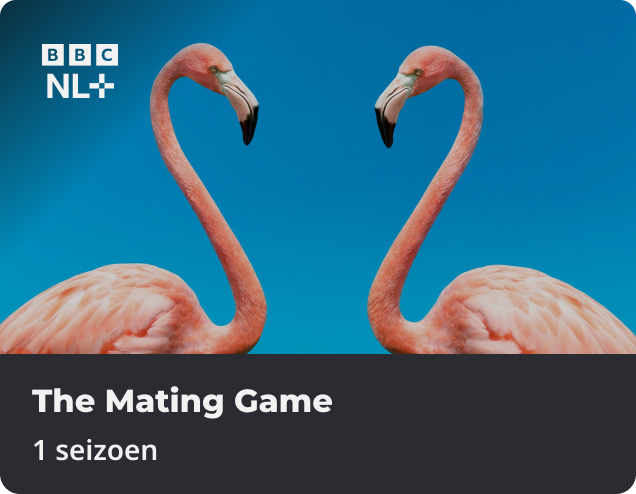 The Mating Game app NLZIET