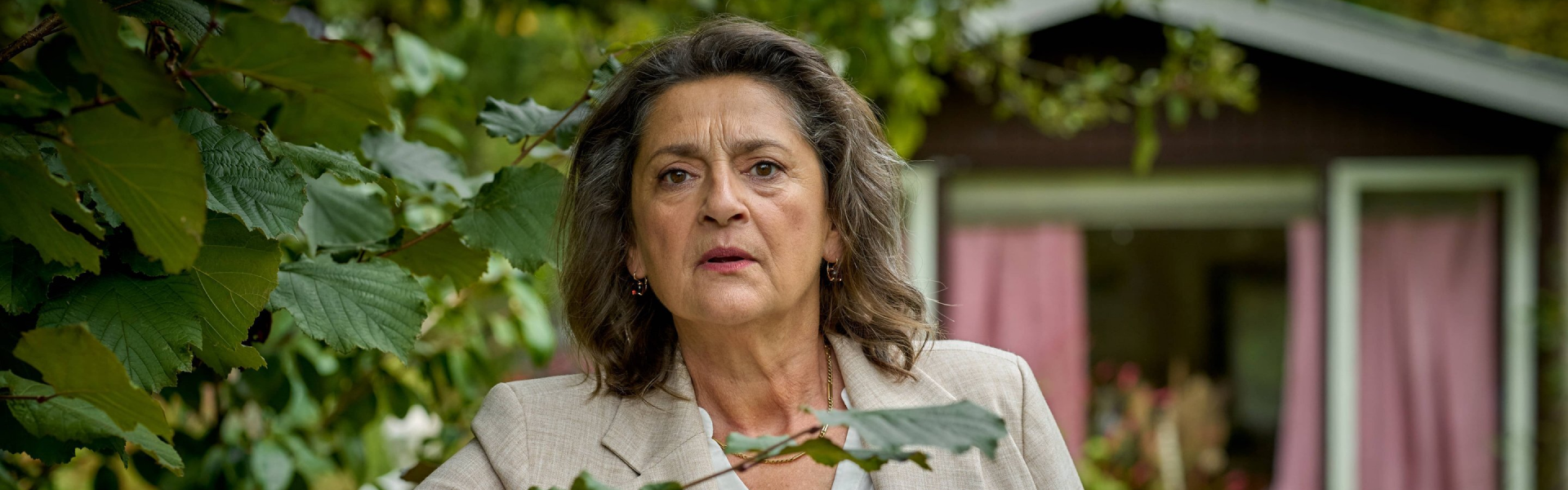 De leukste series bij NLZIET