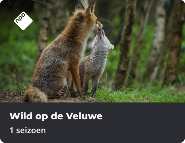 Wild op de Veluwe app NLZIET