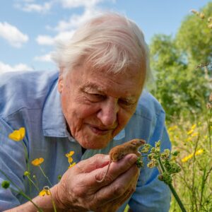 David-Attenborough-100-jaar-documentaires