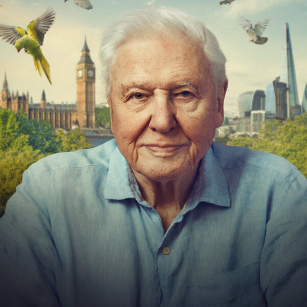 David Attenborough NLZIET